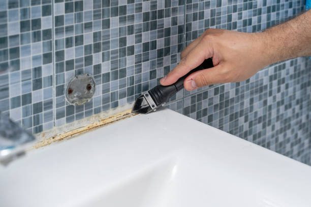 Best Certified Mold Removal  in Oildale, CA
