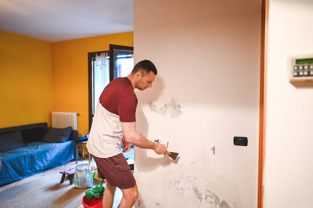 Best Mold Removal Company Near Me  in Oildale, CA